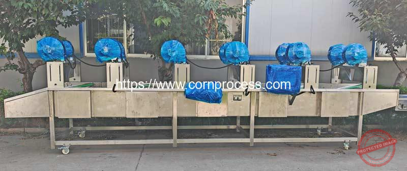 Automatic-Vacuum-Packed-Sweet-Corn-Bag-Water-Blow-Removing-Machine-for-Indonesia